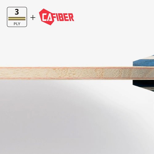 ხე Butterfly TIMO BOLL CAF