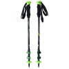 Viking Kivi Trekking Poles
