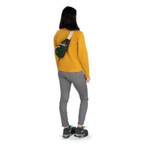 ჩანთა Osprey DAYLITE WAIST