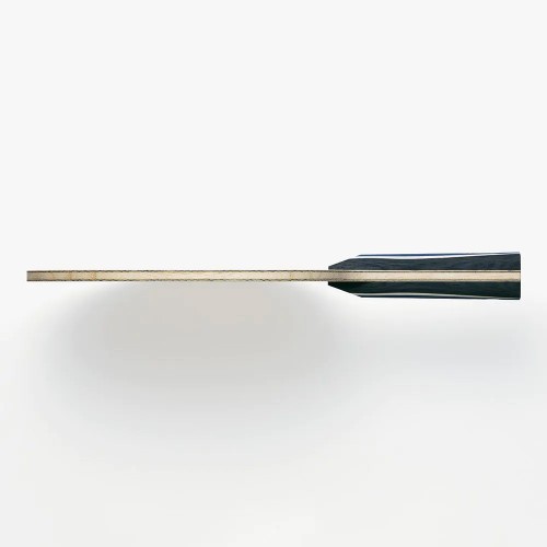 ჩოგანი FAN ZHENDONG Super ALC FL