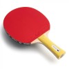 ჩოგანი Butterfly Racket SPECIALIST