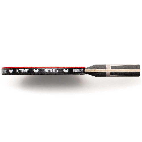 Butterfly TIMO BOLL SPECIALIST