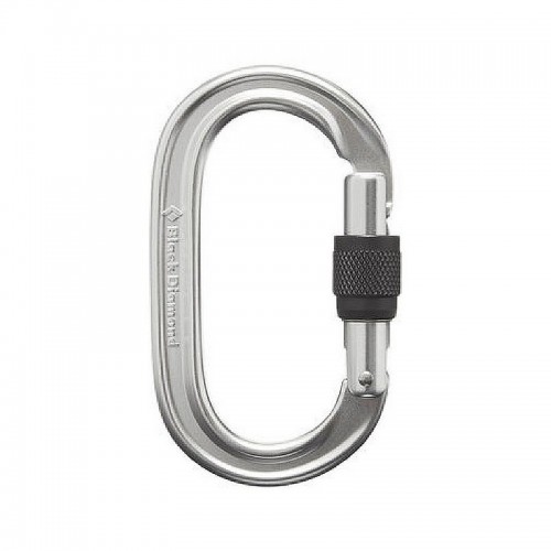 Black Diamond ROCKLOCK SCREWGATE CARABINER Gray